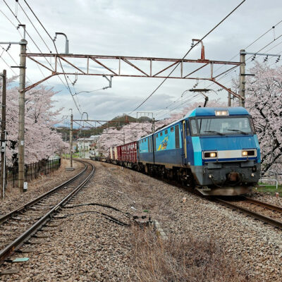 Factors to consider when picking a travel destination