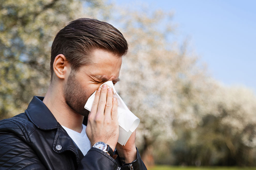 Tree pollen allergy – Symptoms, types, and prevention